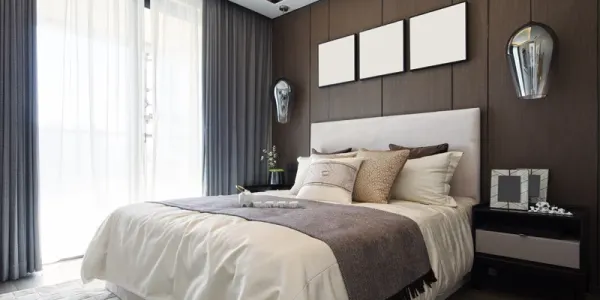 commercial bed bug control 