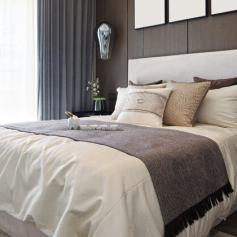 bed bug-free hotel room